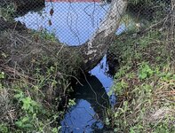 IMG_5132.jpeg