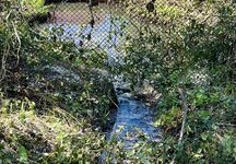 IMG_5135.jpeg