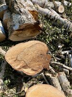 IMG_5137.jpeg