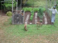 And even MORE twin fawns 004.JPG