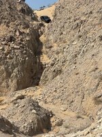 IMG_4459.jpeg