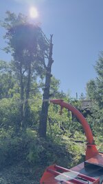 IMG_1157.jpeg