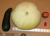 DSC03398 (1024x751).jpg