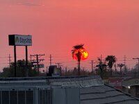 IMG_4464.jpeg