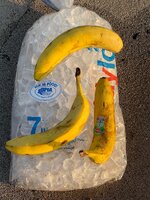 IMG_4470.jpeg