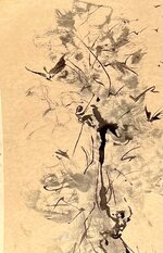 IMG_5270.jpeg