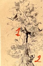 IMG_5276.jpeg