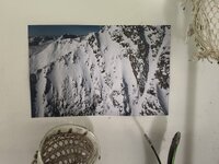 IMG_2117.jpeg