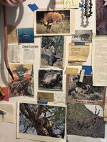 IMG_2122.jpeg