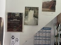 IMG_2120.jpeg