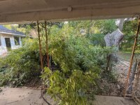 IMG_7126.jpeg