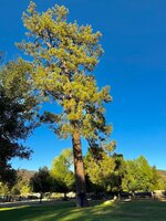 IMG_4640.jpeg