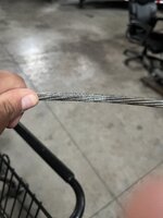 IMG_3866.jpeg