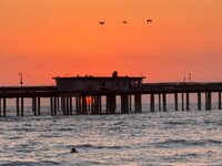 IMG_4703.jpeg