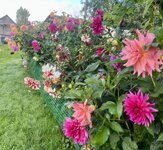 IMG_5406.jpeg