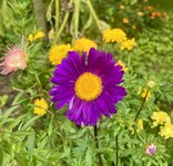IMG_5389.jpeg
