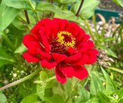IMG_5386.jpeg