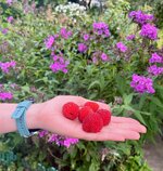IMG_5394.jpeg