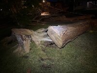 IMG_4716.jpeg