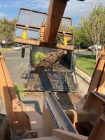 IMG_4797.jpeg