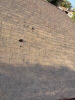 IMG_4800.jpeg
