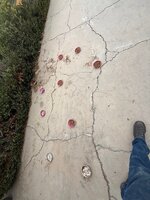 IMG_4799.jpeg