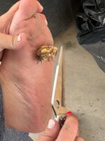 IMG_4805.jpeg