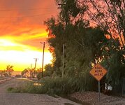 IMG_4784.jpeg