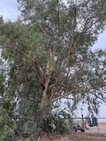 IMG_4824.jpeg