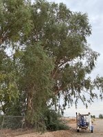 IMG_4825.jpeg