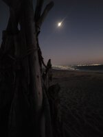 20250830_202114.jpg