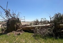 IMG_0359.jpeg