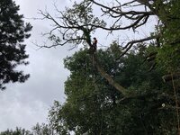 IMG_2067.jpeg