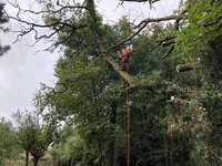 IMG_2066.jpeg