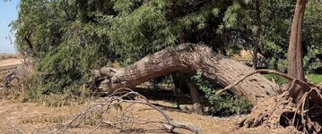 IMG_4947.jpeg