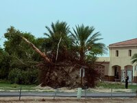 IMG_4966.jpeg