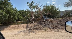 IMG_4952.jpeg