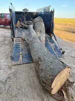 IMG_4991.jpeg