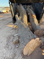 IMG_4993.jpeg