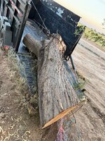 IMG_4996.jpeg