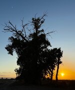 IMG_4995.jpeg