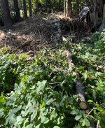 IMG_5529.jpeg