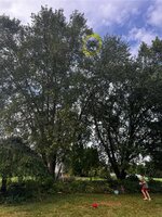 IMG_7490.jpeg