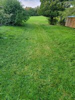 20250909_185504.jpg
