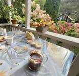 IMG_5583.jpeg