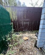 IMG_5588.jpeg