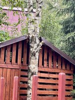 IMG_5585.jpeg