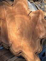 IMG_5164.jpeg