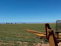 IMG_5165.jpeg
