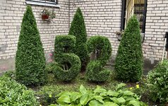 IMG_5604.jpeg